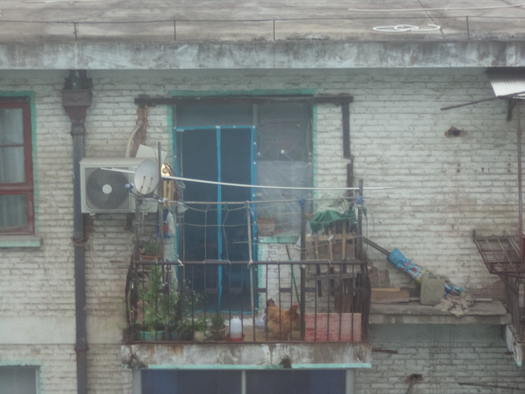 DSC03064