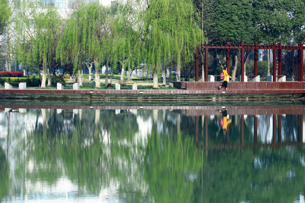 campus 6